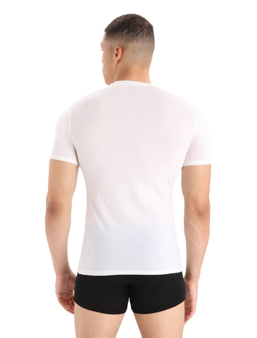 Men's Icebreaker Merino Anatomica Short Sleeve Crewe T-Shirt Underwear Snow | CA 1647UZGT